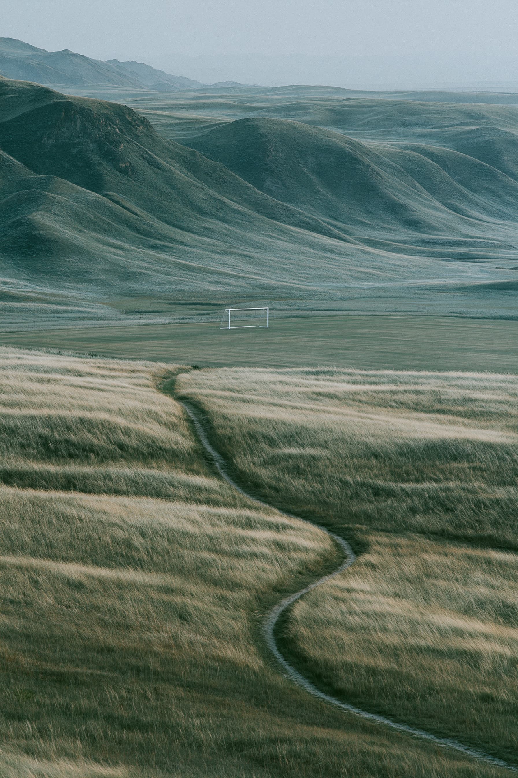 The Goal - unstamped